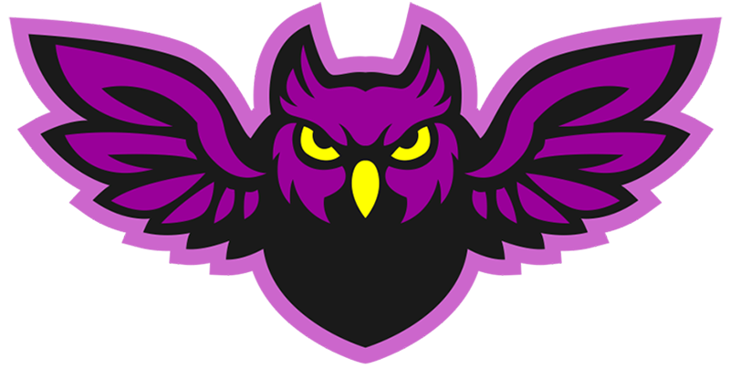 default-logo